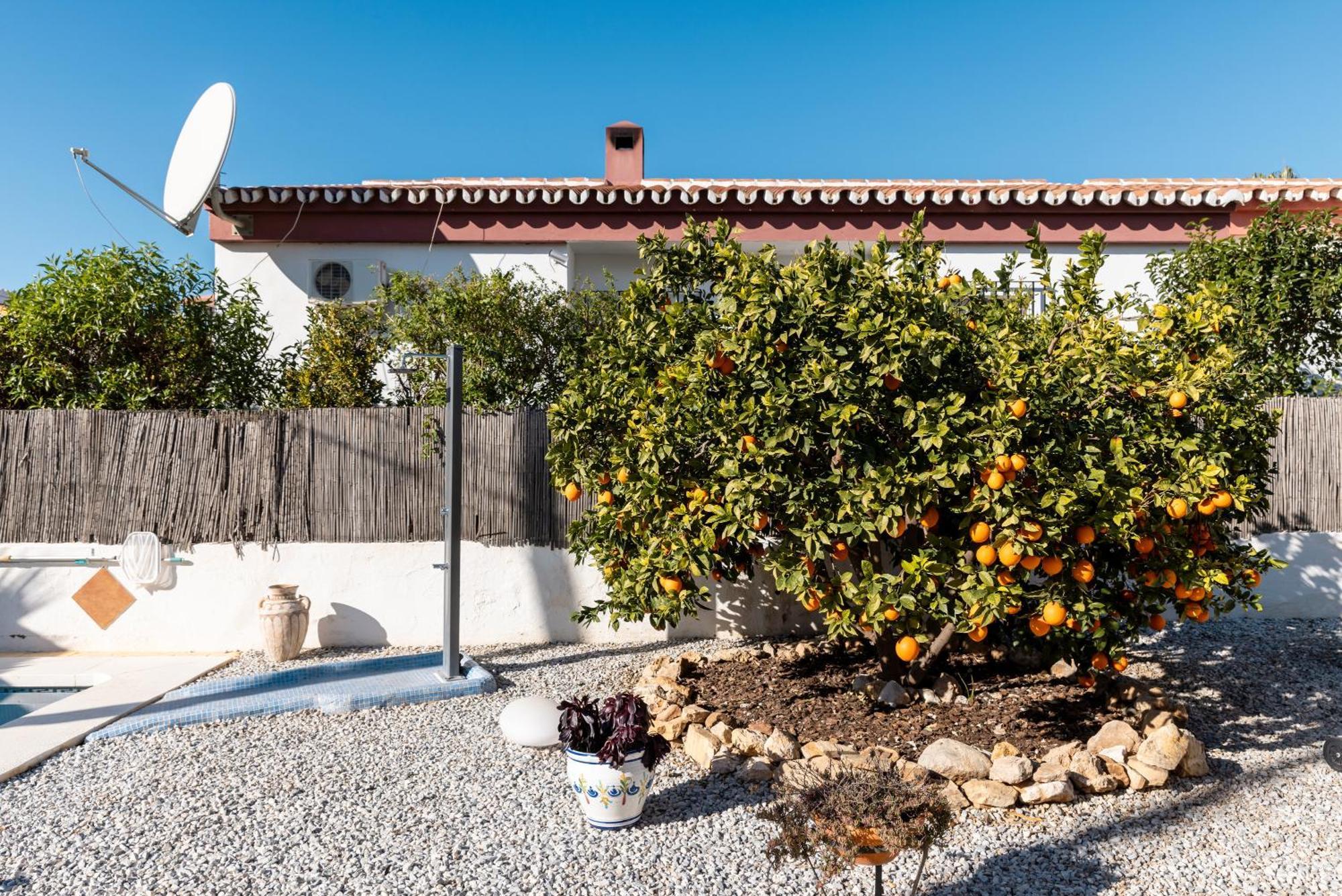 Casa Palmera *